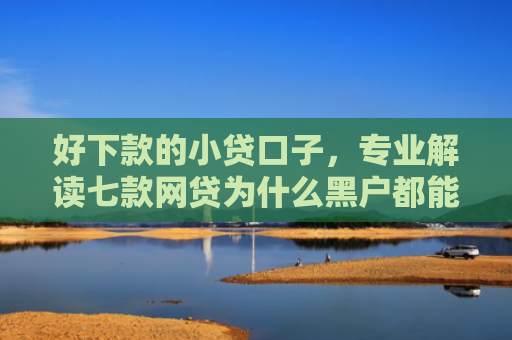好下款的小贷口子，专业解读七款网贷为什么黑户都能下款