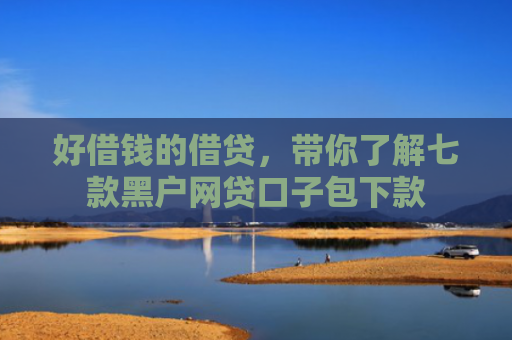好借钱的借贷，带你了解七款黑户网贷口子包下款