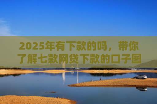 2025年有下款的吗，带你了解七款网贷下款的口子图片