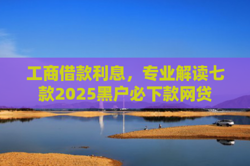 工商借款利息，专业解读七款2025黑户必下款网贷