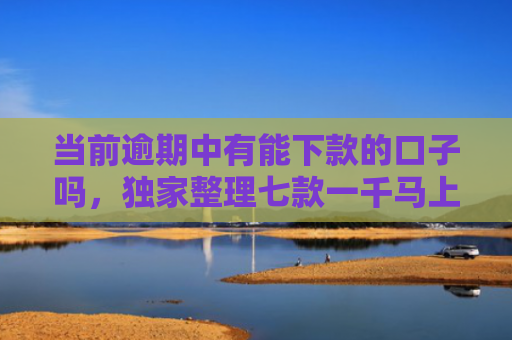 当前逾期中有能下款的口子吗，独家整理七款一千马上下款的贷款口子