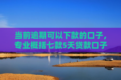 当前逾期可以下款的口子，专业概括七款5天贷款口子好下款的