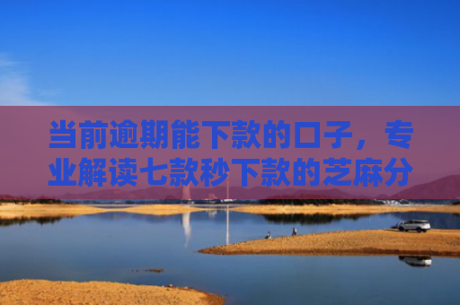 当前逾期能下款的口子，专业解读七款秒下款的芝麻分贷款口子