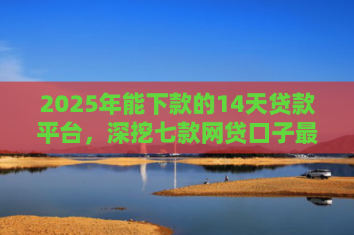 2025年能下款的14天贷款平台，深挖七款网贷口子最容易下款