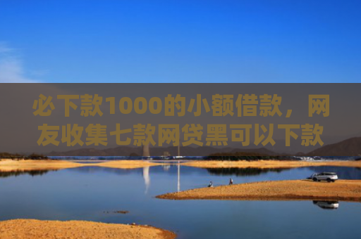 必下款1000的小额借款，网友收集七款网贷黑可以下款的口子