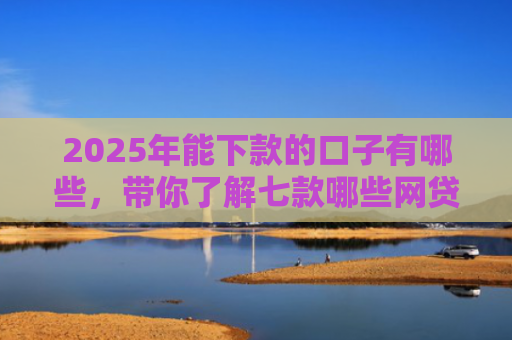 2025年能下款的口子有哪些，带你了解七款哪些网贷口子必下款