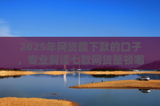 2025年网贷能下款的口子，专业解读七款网贷整顿哪些口子下款