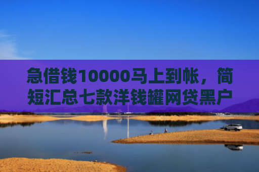 急借钱10000马上到帐，简短汇总七款洋钱罐网贷黑户能下款吗