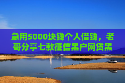 急用5000块钱个人借钱，老哥分享七款征信黑户网贷黑户能下款