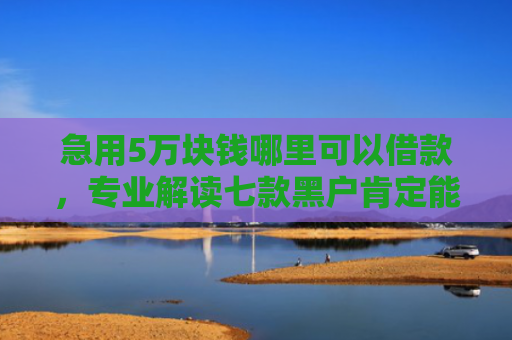急用5万块钱哪里可以借款，专业解读七款黑户肯定能下款的网贷