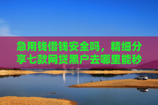 急用钱借钱安全吗，精细分享七款网贷黑户去哪里能秒下款