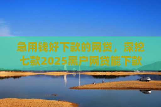 急用钱好下款的网贷，深挖七款2025黑户网贷能下款的app