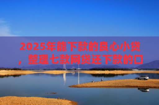 2025年能下款的良心小贷，整理七款网贷还下款的口子