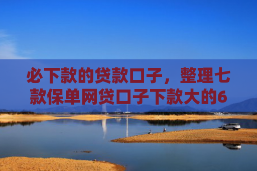 必下款的贷款口子，整理七款保单网贷口子下款大的6