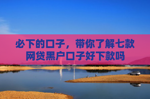 必下的口子，带你了解七款网贷黑户口子好下款吗
