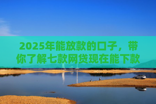 2025年能放款的口子，带你了解七款网贷现在能下款口子