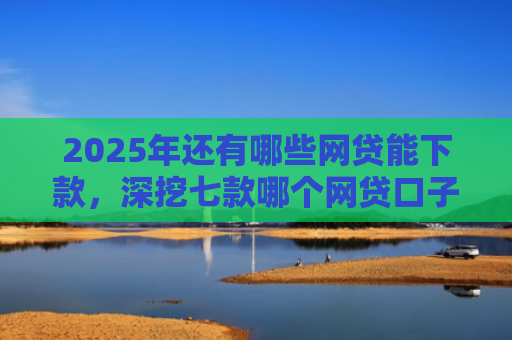 2025年还有哪些网贷能下款，深挖七款哪个网贷口子下款最快