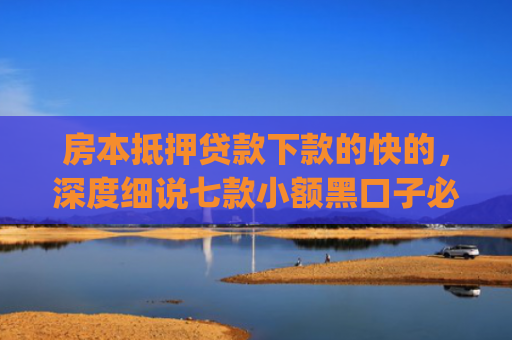 房本抵押贷款下款的快的，深度细说七款小额黑口子必下款app