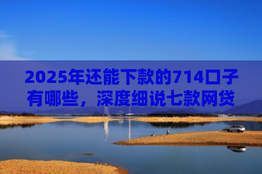 2025年还能下款的714口子有哪些，深度细说七款网贷黑户苹果下款口子