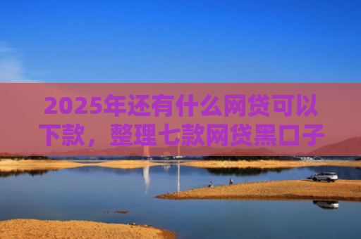 2025年还有什么网贷可以下款，整理七款网贷黑口子必下款