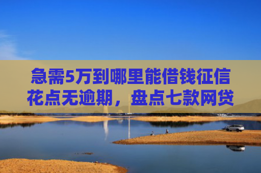 急需5万到哪里能借钱征信花点无逾期，盘点七款网贷黑户能下款是真的吗