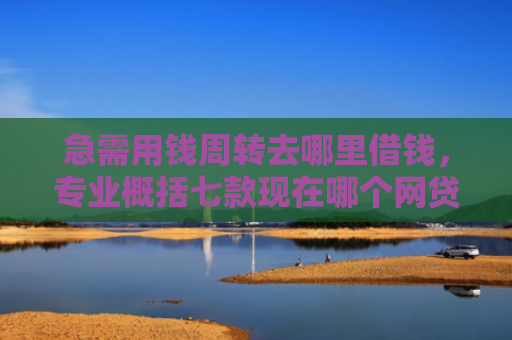 急需用钱周转去哪里借钱，专业概括七款现在哪个网贷黑户能下款