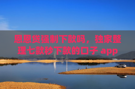 恩恩贷强制下款吗，独家整理七款秒下款的口子 app