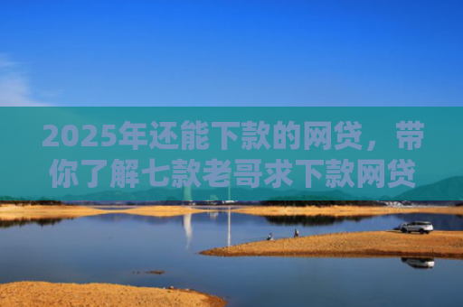 2025年还能下款的网贷，带你了解七款老哥求下款网贷口子