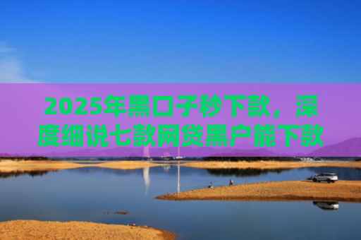 2025年黑口子秒下款，深度细说七款网贷黑户能下款口子