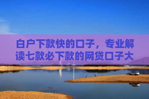 白户下款快的口子，专业解读七款必下款的网贷口子大全