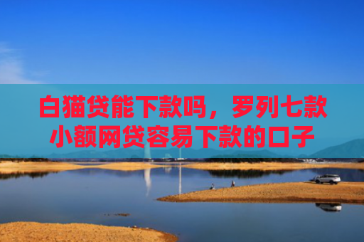 白猫贷能下款吗，罗列七款小额网贷容易下款的口子