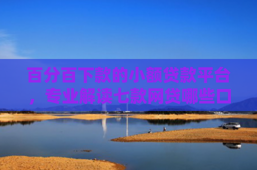 百分百下款的小额贷款平台，专业解读七款网贷哪些口子下款额度大