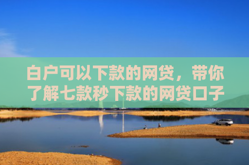 白户可以下款的网贷，带你了解七款秒下款的网贷口子分享