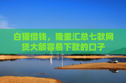 白猫借钱，隆重汇总七款网贷大额容易下款的口子