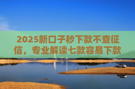 2025新口子秒下款不查征信，专业解读七款容易下款的大额网贷口子
