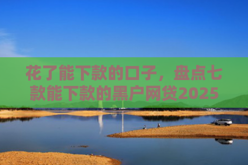 花了能下款的口子，盘点七款能下款的黑户网贷2025