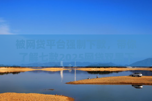 被网贷平台强制下款，带你了解七款2025网贷双黑下款app口子