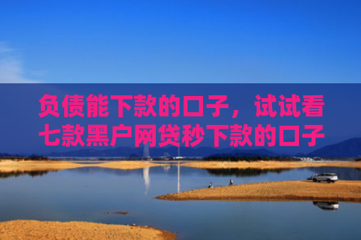 负债能下款的口子，试试看七款黑户网贷秒下款的口子