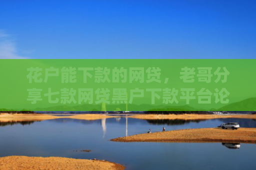 花户能下款的网贷，老哥分享七款网贷黑户下款平台论坛