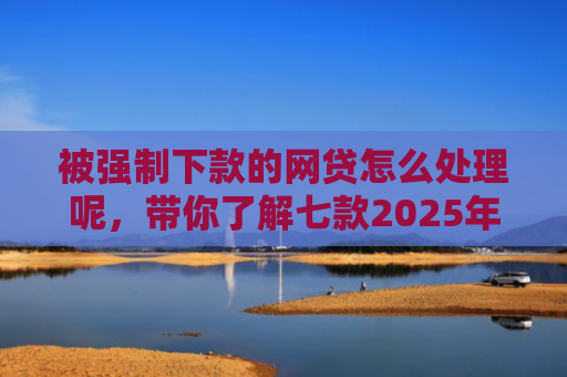 被强制下款的网贷怎么处理呢，带你了解七款2025年容易下款的网贷口子