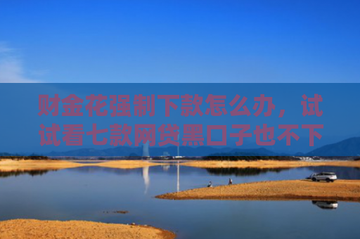 财金花强制下款怎么办，试试看七款网贷黑口子也不下款 是为什么