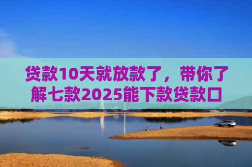 贷款10天就放款了，带你了解七款2025能下款贷款口子