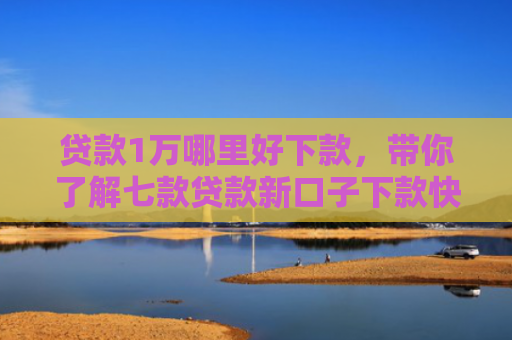贷款1万哪里好下款，带你了解七款贷款新口子下款快