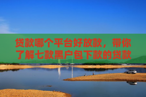 贷款哪个平台好放款，带你了解七款黑户包下款的贷款口子