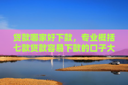 贷款哪家好下款，专业概括七款贷款容易下款的口子大全