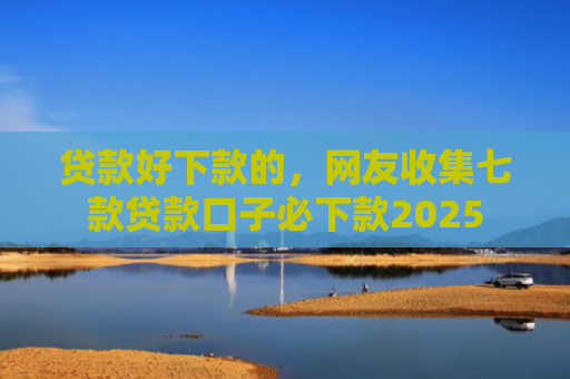 贷款好下款的，网友收集七款贷款口子必下款2025