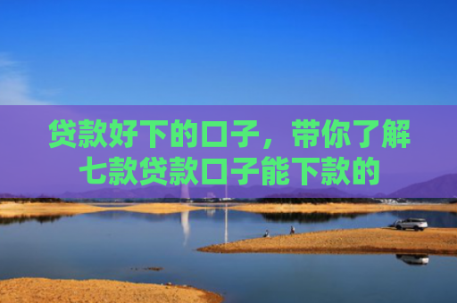 贷款好下的口子，带你了解七款贷款口子能下款的