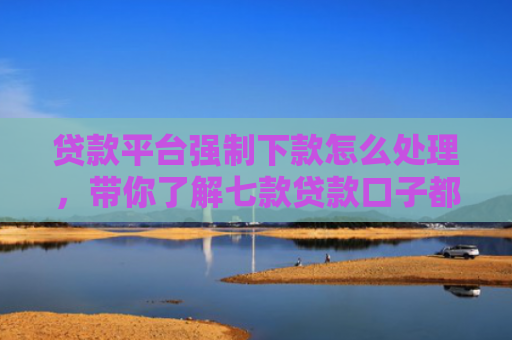 贷款平台强制下款怎么处理，带你了解七款贷款口子都不下款了吗