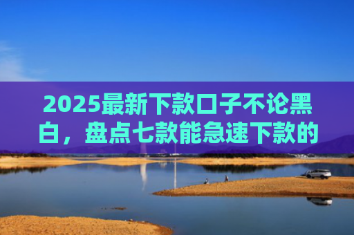 2025最新下款口子不论黑白，盘点七款能急速下款的网贷口子