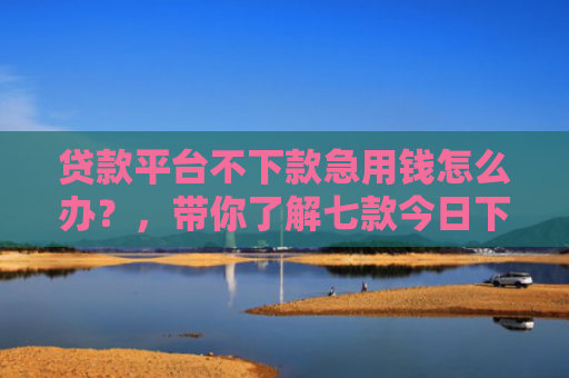 贷款平台不下款急用钱怎么办？，带你了解七款今日下款的贷款口子